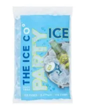 Ice category