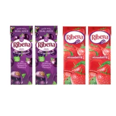 Ribena 250ml Blackcurrant/Strawberry (2 of each)